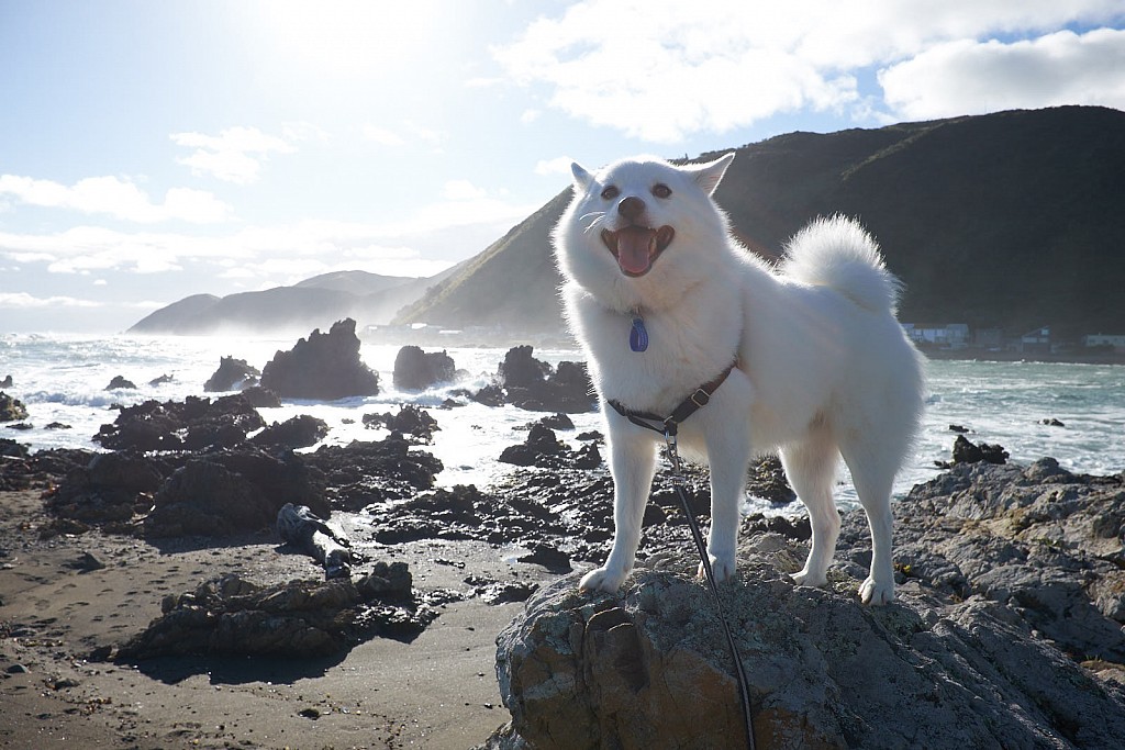 DSCF8713.jpg